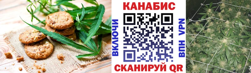 Купить где  Севск  Cannafood марихуана 