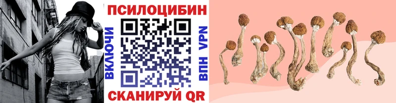 Купить закладки  Севск  Псилоцибиновые грибы ЛСД 